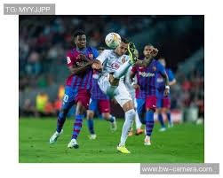 兰斯·林赛季表现回顾